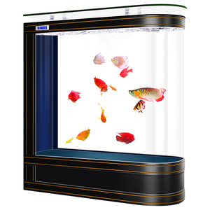 <span class=keywords><strong>Aquarium</strong></span> écologique autoportant en verre ultra-transparent avec filtre latéral intégré en forme de balle, idéal comme séparateur de pièce - Product Image 5