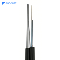 Kabel Drop Fiber Optik Self Support 1 2 4 Core G652D G657A 1KM 2KM Harga Pabrik Kabel Drop Fiber Optik Luar Ruangan