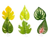 Aquarium Moderne Écologique 1L pour Poissons Betta, Feuilles de Repos, Nid de Reproduction pour Amphibiens et Reptiles, Idéal pour Splendens