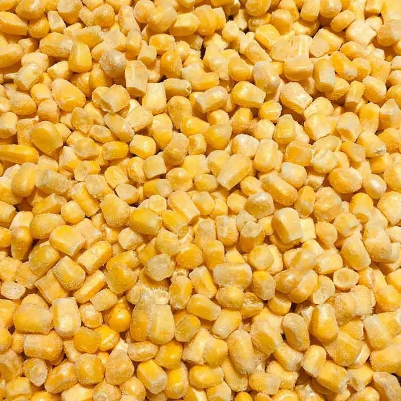 Maïs sucré en grains congelé Vente en gros Légumes surgelés en vrac Maïs sucré IQF Prix