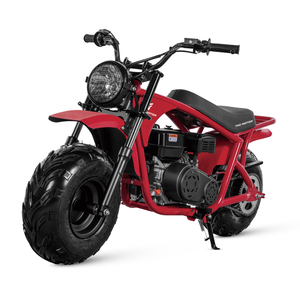 รถมอเตอร์ไซค์ Tao Motor รุ่นใหม่ปี 2023 สำหรับเด็ก รถวิบากขนาดเล็ก 200 ซีซี - Product Image 3