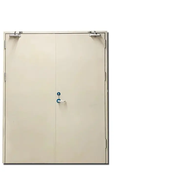 ज़ोनल डोर डब्ल्यूपीसी डोर फ़ैक्टरी थोक मूल्य वाटरप्रूफ और आग प्रतिरोधी डब्ल्यूपीसी पेंटिंग दरवाजे के साथ