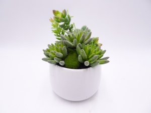 <span class=keywords><strong>Giardino</strong></span> di casa desktop decor mini <span class=keywords><strong>piante</strong></span> <span class=keywords><strong>grasse</strong></span> succulente <span class=keywords><strong>in</strong></span> <span class=keywords><strong>vaso</strong></span> artificiale con la Simulazione di carne bacino di ceramica - Product Image 4
