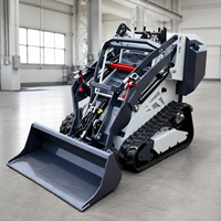Mini-chargeuse sur chenilles diesel 1000kg 300kg 600kg avec livraison gratuite à vendre