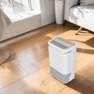 Purificateur d'air et déshumidificateur DDP avec fonction minuterie, capacité de déshumidification de 10 L, pour bureau, certifié ISO 9001 CE, silencieux - Product Image 1
