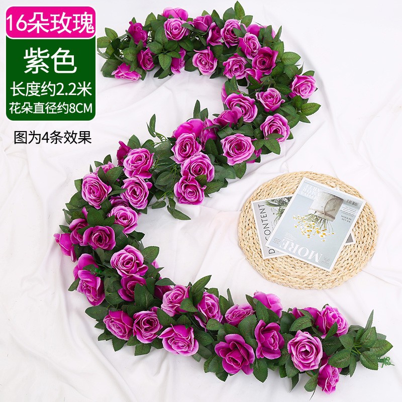 16 rose viola 1