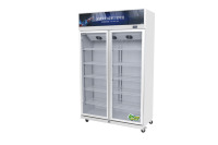 Réfrigérateur commercial vertical à porte vitrée pour boissons, refroidisseur de boissons pour bar, restaurant, hôtel, supermarché