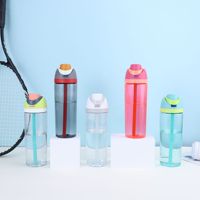 Aangepaste 750Ml Transparante Beker Grote Capaciteit Sportgym Plastic Waterfles Buiten Dubbele Drinkstro Beker Met Handvat