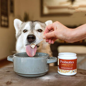Probiotiques en gros OEM ODM pour chiens et chats, probiotiques en poudre entièrement naturels de force maximale, 5 milliards d'UFC par dose - Product Image 4