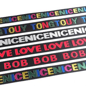 Custom logo Nylon Ribbon Woven Seat Belt <b>Webbing</b> - Product Image 2