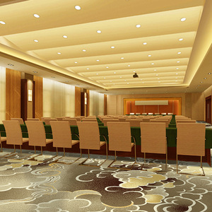 Alfombra de Nailon Impresa con Tratamiento Antiincrustante, Tejido a Máquina, Antideslizante, Antibacteriana y Duradera para Sala de Conferencias - Product Image 3