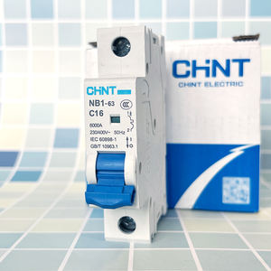 Interruptor de Circuito Chint 1P de 125A, <span class=keywords><strong>Diferencial</strong></span> de Precio de Fabricante, Múltiples Tamaños Personalizados - Product Image 1