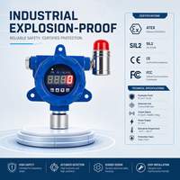 Détecteur de gaz inflammable fixe haute précision en aluminium HIREP CE ATEX antidéflagrant avec alarme sonore et lumineuse
