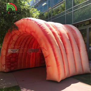 Túnel Inflable de <span class=keywords><strong>Colon</strong></span>, Órgano Intestinal Grande, para Exhibiciones Médicas, Eventos Hospitalarios y Centros Médicos - Product Image 1