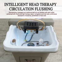 Unité de shampooing pliable, durable et légère pour les coiffeurs mobiles, les applications de spa à domicile, équipement de traitement de beauté, lit de soin