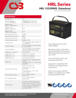 CSB HRL12330WG Batterie AGM sans entretien 12V 330W