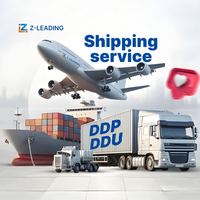 Services logistiques d'achat en ligne internationaux, services de logistique DDP, agents d'import-export, expédition rapide de la Chine, LCL + Express