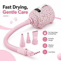 Séchoir portable 2100W à anions pour chiens et chats, avec LED et vitesse variable précise, pour un séchage sain