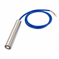 Vibrating Wire Piezometer Stainless Steel Pore Water Pressure Sensor IP66 0.1% FS Accuracy for Dam Tunnel Slope Monitoring