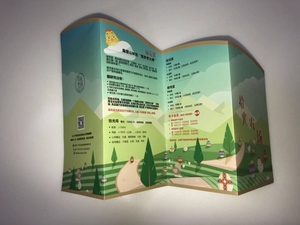 NGHỆ THUẬT tùy chỉnh giấy in kỹ thuật số varnished bề mặt tờ rơi từ nhà máy Trung Quốc - Product Image 3