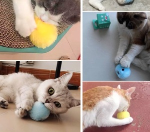 Juguetes Inteligentes para Gatos, Peluche Eléctrico con Catnip, Juguete de Entrenamiento para Gatitos, Pelota Sonora para Mascotas, Regalos - Product Image 6