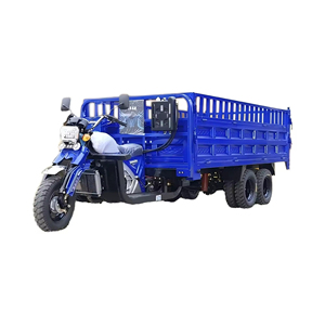 Nouveau Style 250cc hydraulique Dumper Tricycle passager Tricycle essence carburant Cargo moto avec trois roues - Product Image 6