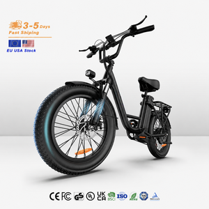 20*3 Inch Professional Electric Bike 750W 28MPH Commuter E-bicycle Factory Direct for Teen Campus Transit - Product Image 1