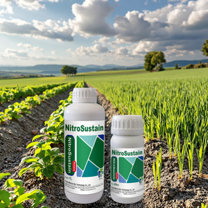 Cao cấp Nhà máy chất dinh dưỡng giải pháp với chậm phát hành Nitơ màu xanh lá cây lá mạnh mẽ cây giống chức năng dựa trên phân bón - Product Image 4