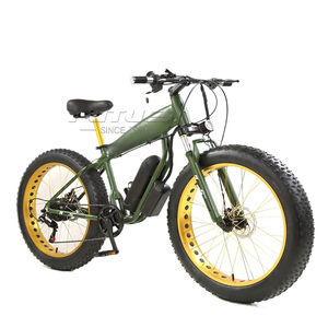 Bicicleta Eléctrica Económica con Certificación CE, Llantas Grandes, 1000w, 48v, de Aluminio, 26 Pulgadas, Tipo Cruiser para Playa - Product Image 2