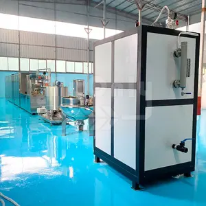 fruit candy processing line with sprayer machine auto