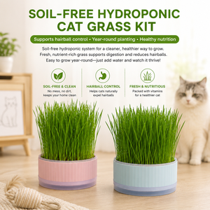 Kit de Cultivo de Hierba para Gatos, Bandeja Hidropónica sin Tierra, Semillas de Trigo de Alta Germinación, Digestión de Bolas de Pelo, Sin Moho - Product Image 1