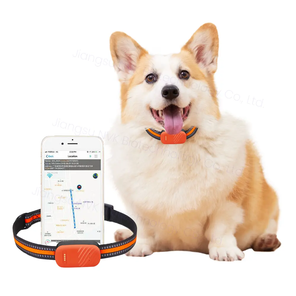 Dernier traqueur de collier GPS anti-perte OEM ODM personnalisé étanche mini localisateur de collier de chien et de chat avec suivi en temps réel