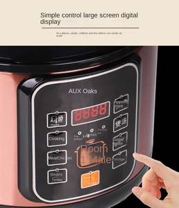 Cuisinière électrique à pression multifonctionnelle avec revêtement antiadhésif en acier inoxydable de 6 L, livraison directe d'usine, pour hôtel - Product Image 2