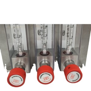 เครื่องวัดอัตราการไหลแบบปรับพื้นที่ได้ LJFLO รุ่น LZB-3WB ทำจากสแตนเลส สำหรับวัดการไหลของอากาศและก๊าซ พร้อมปุ่มสีแดงและข้อต่อท่อโลหะ - Product Image 4