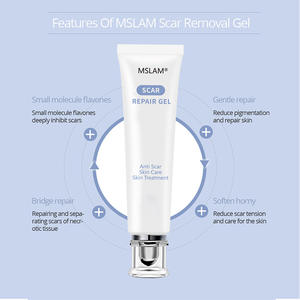 MSLAM كريم إصلاح الصبار العشبي علامات تمدد الجلد ، والحروق ، وجروح السكين ، جل لإصلاح الندبات الجراحية 20 جم - Product Image 2