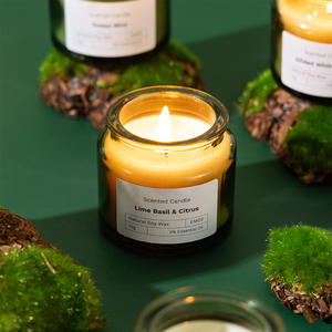 Vela perfumada de cera de soja de lujo personalizada en tarro de vidrio moderno con tapa para cumpleaños Navidad aromaterapia caja de regalo incluida - Product Image 5