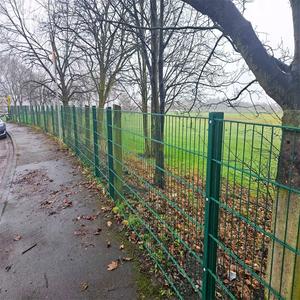 Paneles de Malla de Alambre Soldada con Recubrimiento de Polvo de Acero <span class=keywords><strong>Hercules</strong></span> de Alta Calidad, Fáciles de Montar, Ecológicos, Resistentes a Roedores e Impermeables, para Cercas de Cerdos - Product Image 5