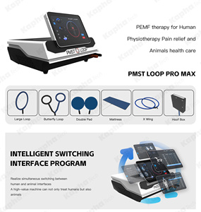 Nuovo Dispositivo di Terapia Magnetica PEMF Kaphatech per Fisioterapia Equina PMST LOOP PRO <span class=keywords><strong>MAX</strong></span> - Product Image 3