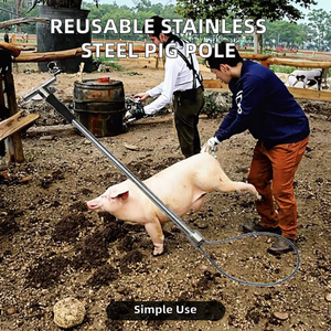 Equipo Veterinario CHARISMA-TECH, Atrapador de Cerdos Reutilizable de Acero Inoxidable con Mango de Goma, Fácil de Usar, para Diagnóstico y Cuidado Animal - Product Image 2