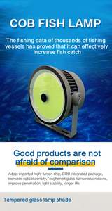 Luz LED de Pesca de Alta Potencia de 1000W, Luz Cian, Diodo Emisor de Luz, IP67 Impermeable, 70 CRI, Regulable, Distancia de Iluminación de 1-100m - Product Image 3