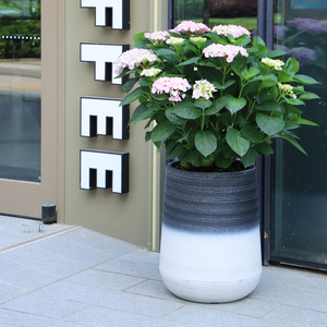 Leizisure, macetas duraderas de gama alta, macetas grandes de plástico para plantas al aire libre, macetas redondas altas cónicas con estilo Para Plantas - Product Image 4