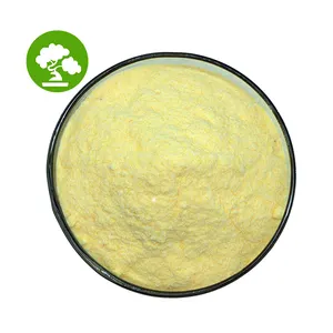 High Quality 2000ppm Selenium Enriched Yeast Powder