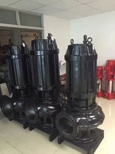 La pompe à eaux usées submersible 220V a un débit de 10 mètres cubes par heure, une hauteur de refoulement de 10 mètres et une puissance de 0,75 kW - Product Image 2