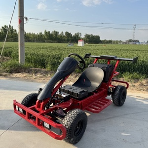 750W 48V Go-Kart for Adults with 20Ah Battery BLDC Motor Shaft Drive Buggy Outdoor Use 200kg Load 70km/h - Product Image 1