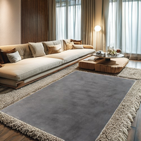 Tapis de salon TT Home, fabriqué à la machine, à poils longs, doux, moderne, couleur unie, moelleux, résistant aux taches, couleur beige, taille 160x220cm