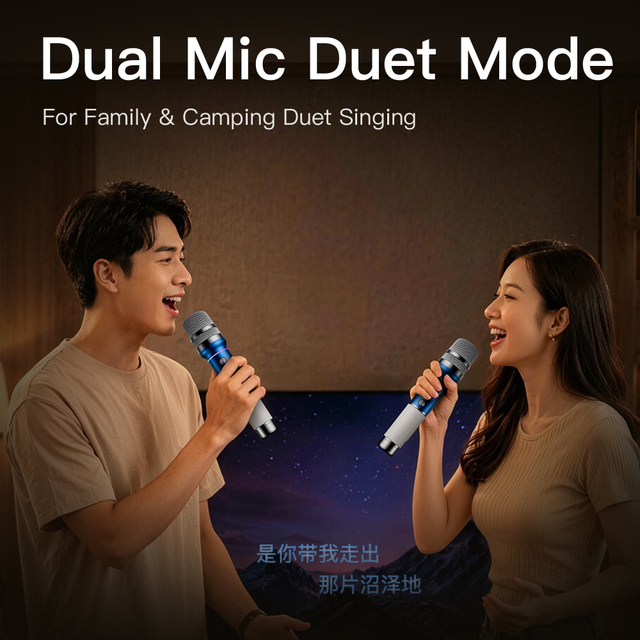 2.4G Wireless Microphone with Long-Lasting Battery, Ideal for Karaoke and Outdoor Performances