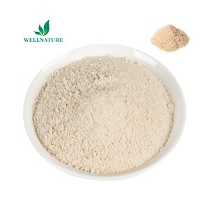 Polvo de Cáscara de <span class=keywords><strong>Psyllium</strong></span> de Grado Alimenticio a Granel, Suplemento de Fibra al 99%, Envase de 1 kg en Lata/Tambor - Product Image 1