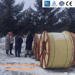 4 AWG ACSR 铝制电力电缆高压架空输电线路裸导线 ASTM B232 - Product Image 4