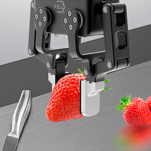 Nouvelle pince parallèle robotique industrielle intelligente à haute précision, motorisée par servo, charge utile de 0,5 kg, universelle - Product Image 4