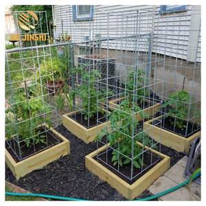 Heavy-Duty Galvanized Steel Cages <strong>Tomato</strong> <strong>Support</strong> for Sale - Product Image 1